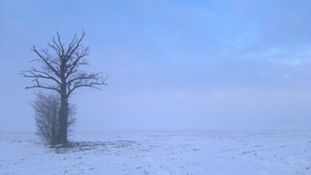 Dave R Farmer Flickr