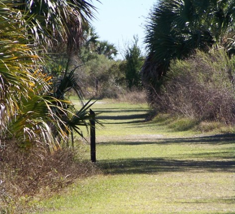 KMHuberImage; Gulf of Mexico, FL; St. Mark's Wildlife Refuge