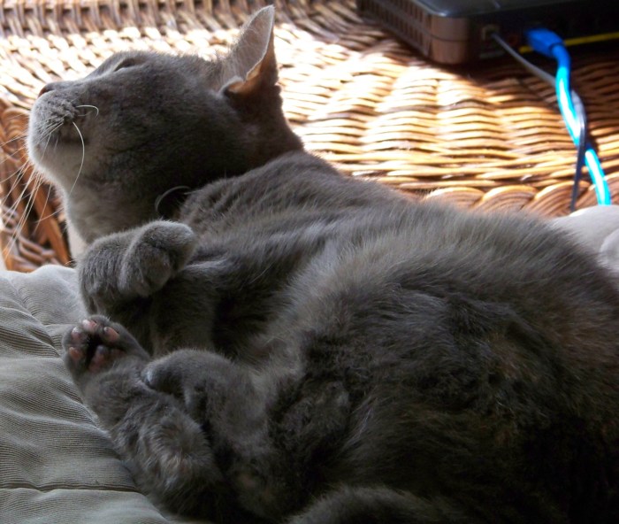 Choosing Her PaneKMHuberImage