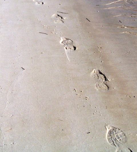 Footprints 1013