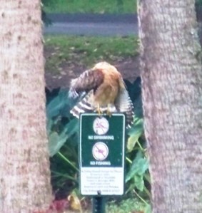 Losing One's Head 0914