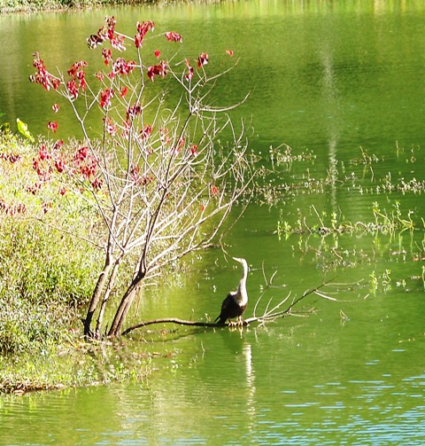 Beginning the Day 092015